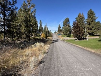 Huge .30 of an acre, corner parcel with numerous large mature - photo 30