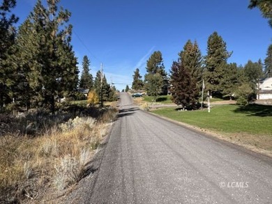 Huge .30 of an acre, corner parcel with numerous large mature - photo 31