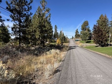 Huge .30 of an acre, corner parcel with numerous large mature - photo 32