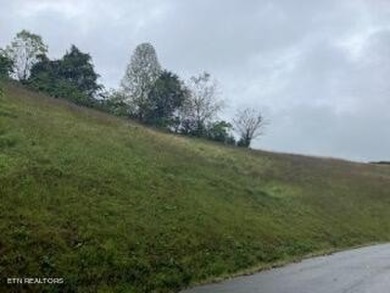 Lake Lot For Sale in New Tazewell, Tennessee