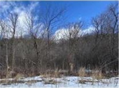Lake Lot For Sale in Trenton Twp, Wisconsin