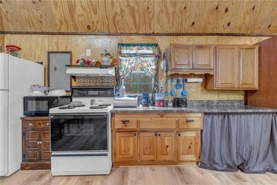 Enjoy lakeside living with this charming and move-in ready cabin - photo 4