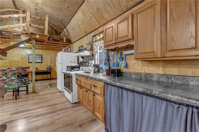 Enjoy lakeside living with this charming and move-in ready cabin - photo 5