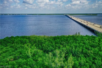 Peace River Acreage For Sale in Punta Gorda Florida