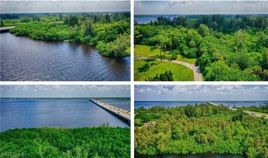 17+/- acres with 550' of river frontage, perfect for an estate - photo 4