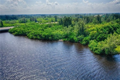 17+/- acres with 550' of river frontage, perfect for an estate - photo 5