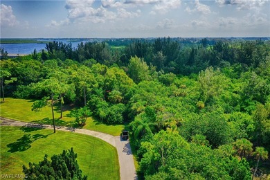 17+/- acres with 550' of river frontage, perfect for an estate - photo 6