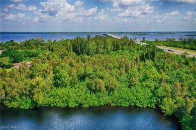 17+/- acres with 550' of river frontage, perfect for an estate - photo 8