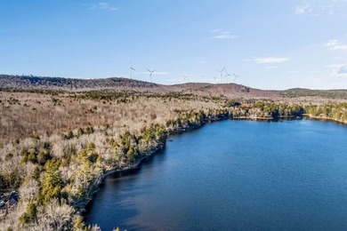 Your Year-Round Lakefront Retreat on Beautiful Springy - photo 11
