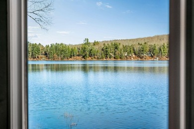 Your Year-Round Lakefront Retreat on Beautiful Springy - photo 36