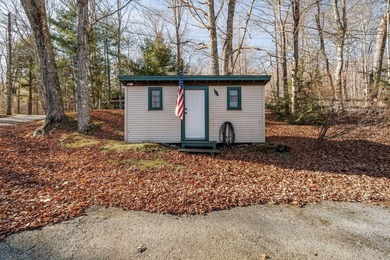 Your Year-Round Lakefront Retreat on Beautiful Springy - photo 39