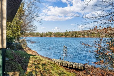 Your Year-Round Lakefront Retreat on Beautiful Springy - photo 44
