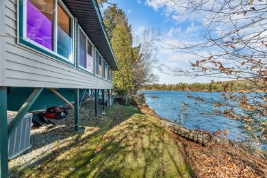 Your Year-Round Lakefront Retreat on Beautiful Springy - photo 45