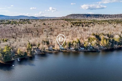 Your Year-Round Lakefront Retreat on Beautiful Springy - photo 49