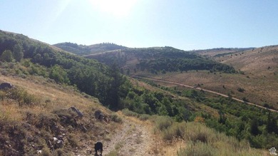 Rarely does a property check every box for the serious Bear Lake - photo 16