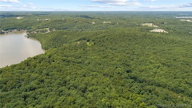 Fix-and-Flip Opportunity with Incredible Lakefront Views This - photo 40
