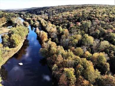 Neversink River Acreage For Sale in Thompson New York