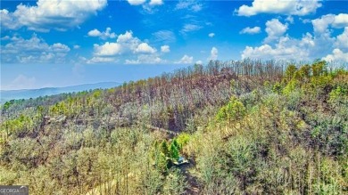 Carters Lake Lot For Sale in Ranger Georgia