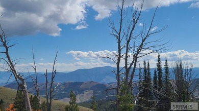 Homestead 6 offers 14.48 acres of prime Idaho acreage just 5 - photo 11
