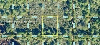 GREAT FLORIDA Investment on .51 ACRES OF LAND. Property Use: - photo 2