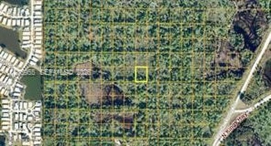 GREAT FLORIDA Investment on .51 ACRES OF LAND. Property Use: - photo 4