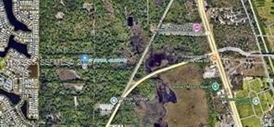 GREAT FLORIDA Investment on .51 ACRES OF LAND. Property Use: - photo 6