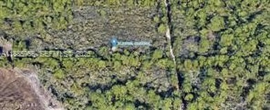 GREAT FLORIDA Investment on .51 ACRES OF LAND. Property Use: - photo 8