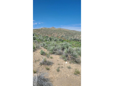 Homestead 6 offers 14.48 acres of prime Idaho acreage just 5 - photo 23