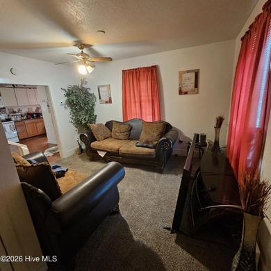 Investor opportunity in the heart of Elizabeth City! This - photo 3