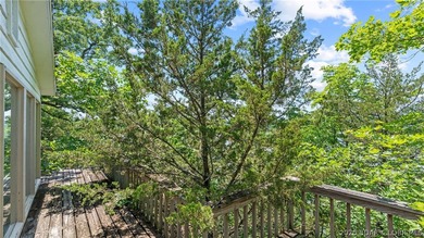 Investor Special with Lakefront & Development Potential! These - photo 37