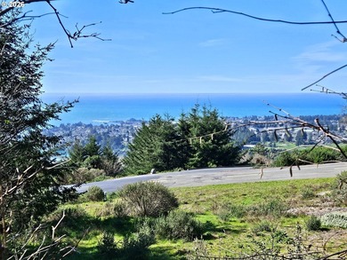 Perched high in one of Brookings' most sought after upscale - photo 1