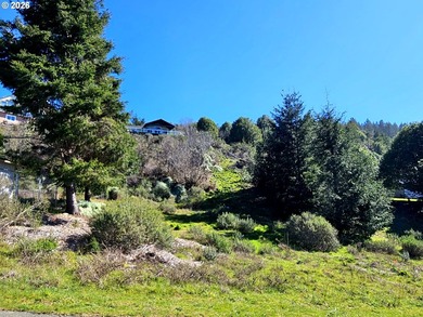 Perched high in one of Brookings' most sought after upscale - photo 5
