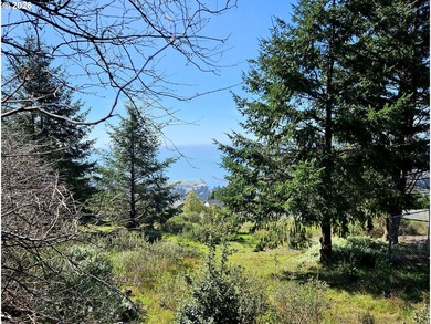 Perched high in one of Brookings' most sought after upscale - photo 6