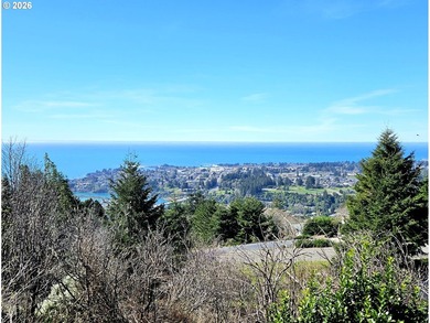 Perched high in one of Brookings' most sought after upscale - photo 7