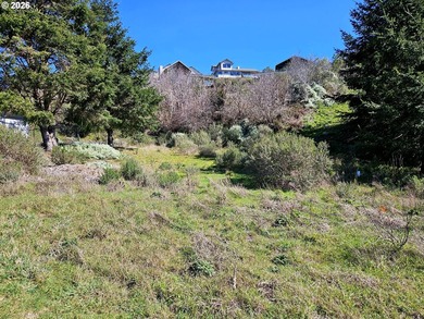 Perched high in one of Brookings' most sought after upscale - photo 9