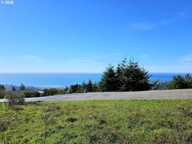 Perched high in one of Brookings' most sought after upscale - photo 10