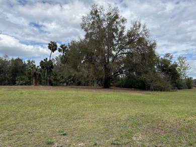Orange Lake Acreage For Sale in Citra Florida