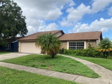 Lake Home For Sale in New Port Richey, Florida
