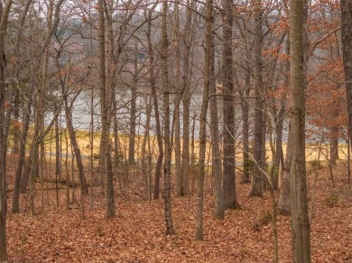 Lake Lot For Sale in Innsbrook, Missouri