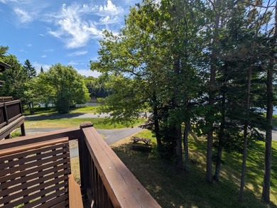 Stunning 3-Bedroom Condo with Breathtaking Lake Views of the - photo 20