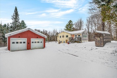 Lake Home For Sale in Mount Holly, Vermont