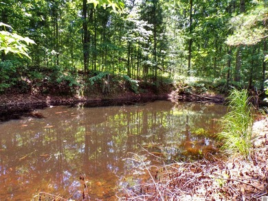 Nestled just moments from the shores of Kentucky Lake, this - photo 36