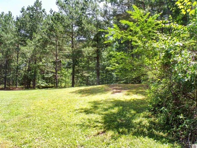 Nestled just moments from the shores of Kentucky Lake, this - photo 38