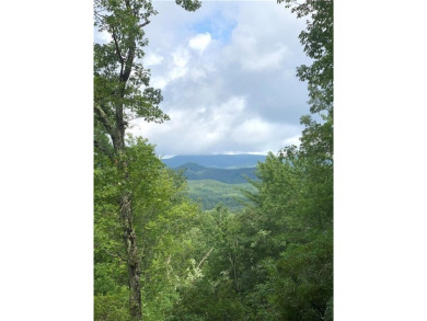 Looking for a stunning Blue Ridge Mountain view near Lake - Lake Acreage For Sale in Sunset, South Carolina