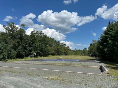 **Turnkey Catskills Retreat & Proven Income-Producing - photo 43