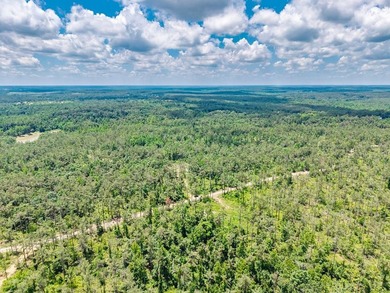 A Once-in-a-Generation, Entitled 880-Acre Development - Ready - photo 12