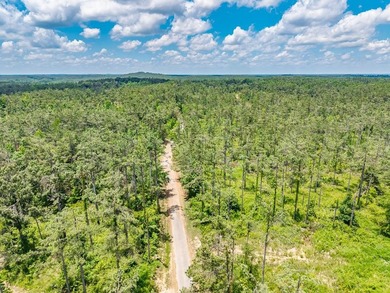 A Once-in-a-Generation, Entitled 880-Acre Development - Ready - photo 13