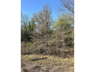 Vacant Lot to build your dream home or vacation home! Bring your - photo 6