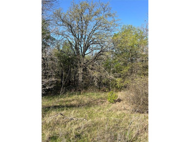 Vacant Lot to build your dream home or vacation home! Bring your - photo 7