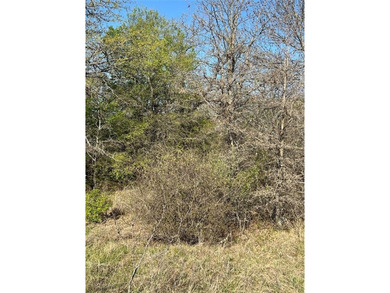 Vacant Lot to build your dream home or vacation home! Bring your - photo 8